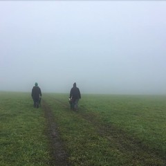 EP2020 Nat and David disappear into fog.jpg